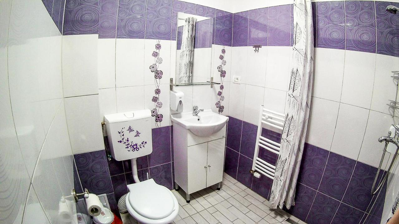 Nice & Cozy Apartments Temeşvar Dış mekan fotoğraf