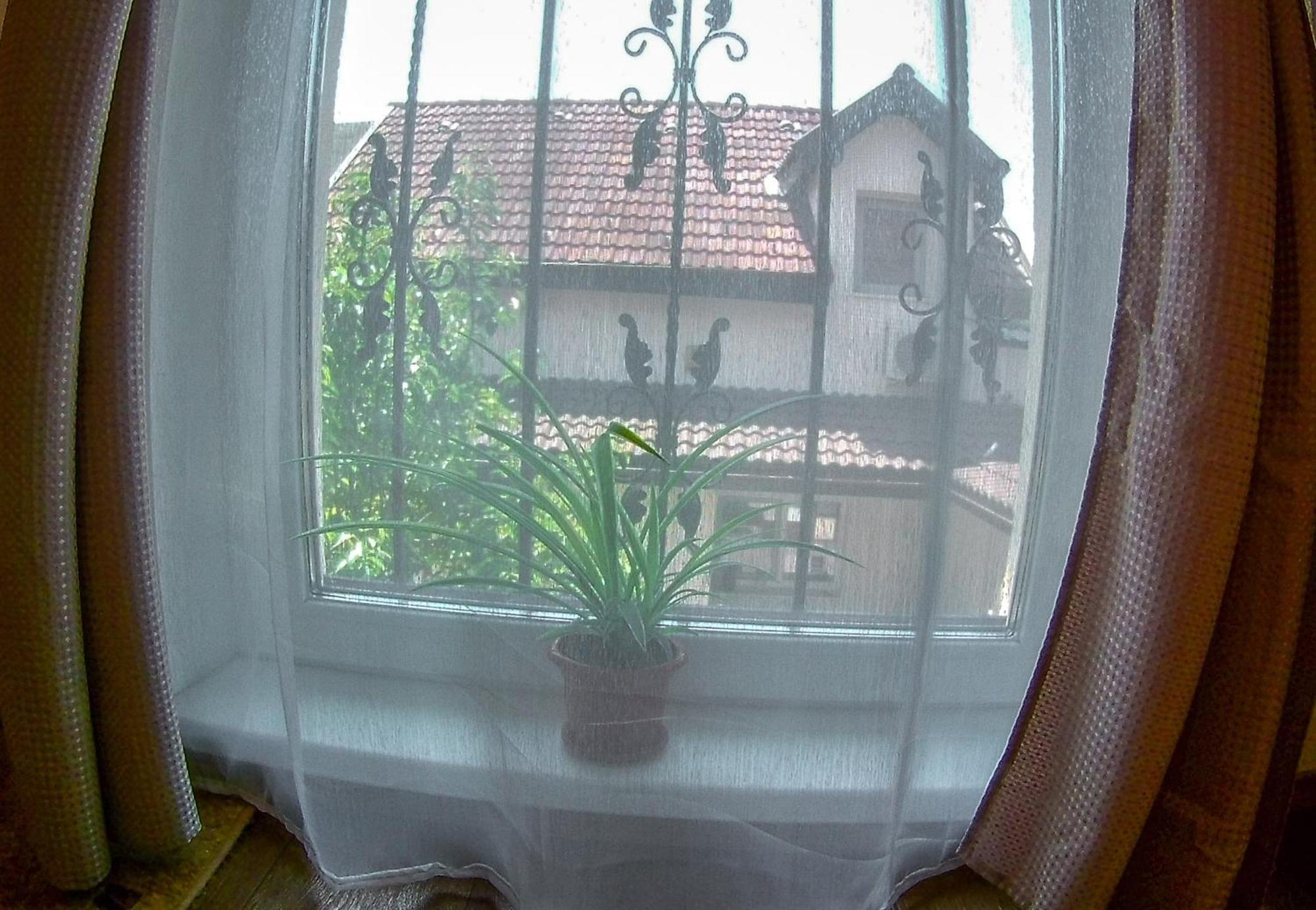 Nice & Cozy Apartments Temeşvar Oda fotoğraf